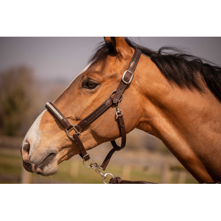 Cabezada Pénélope Harmonie