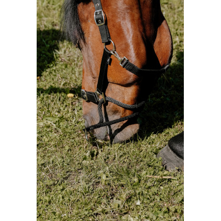 Cabezada Norton Educativa