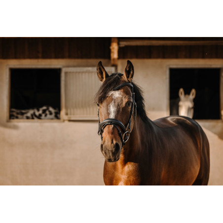 Brida Eric Thomas Bat