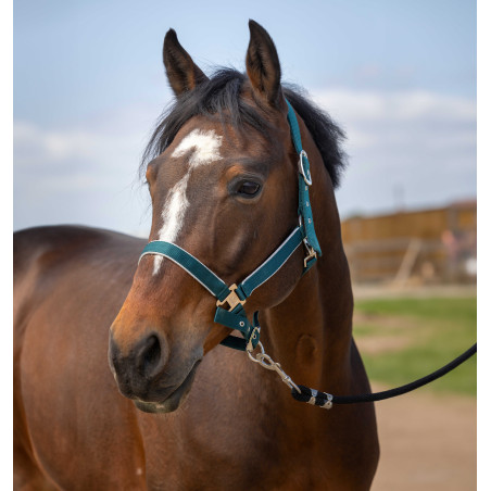 Cabezada Equithème Nylon light