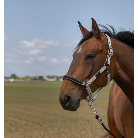 Cabezada de cuadra EQUITHÈME Nylon Chevron