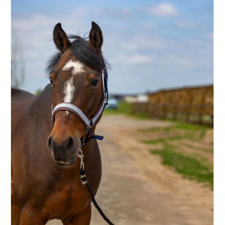 Cabezada de cuadra EQUITHÈME Nylon Check