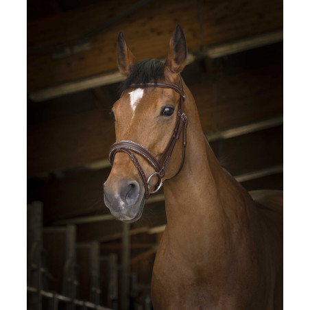 Cabezada de montar Norton Pro Rock