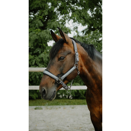 Licol EQUITHÈME - Glowy
