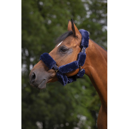 Juego para cabezada Equithème Teddy