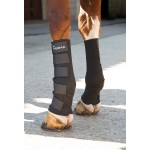 Protecciones Arma Shires