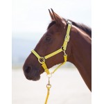 Cabezada cuadra nylon Topaz Shires