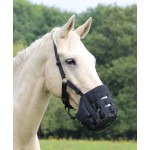 Bozal Comfort Shires