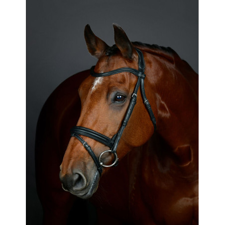 Brida flash hanoveriana Collegiate ComFiTec Opulux lisa acolchada