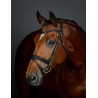 Brida flash hanoveriana Collegiate ComFiTec Opulux lisa acolchada - Negro