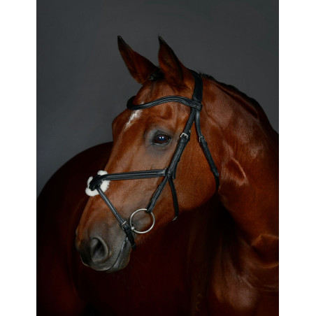 Brida con muserola cruzada Collegiate ComFiTec Opulux acolchada