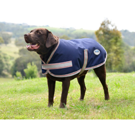 Manta para perro Weatherbeeta ComFiTec Essential
