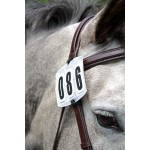 Conjunto de competición n.º Shires