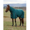 Manta Weatherbeeta ComFiTec Classic Turnout combo 220 g - Verde bosque / negro