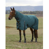 Manta Weatherbeeta ComFiTec Classic Turnout combo 50 g - Verde bosque / negro