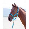 Cabezada cuadra nylon Topaz Shires - Azul