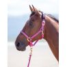 Cabezada cuadra nylon Topaz Shires - Frambuesa