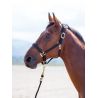 Cabezada cuadra nylon Topaz Shires - Negro
