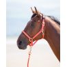 Cabezada cuadra nylon Topaz Shires - Naranja
