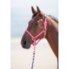 Cabezada cuadra nylon Topaz Shires - Rosa