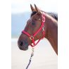 Cabezada cuadra nylon Topaz Shires - Roja