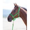Cabezada cuadra nylon Topaz Shires - Verde
