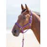 Cabezada cuadra nylon Topaz Shires - Púrpura
