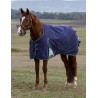 Manta Weatherbeeta ComFiTec Plus Dynamic Turnout 100 g - Marino / verde bosque