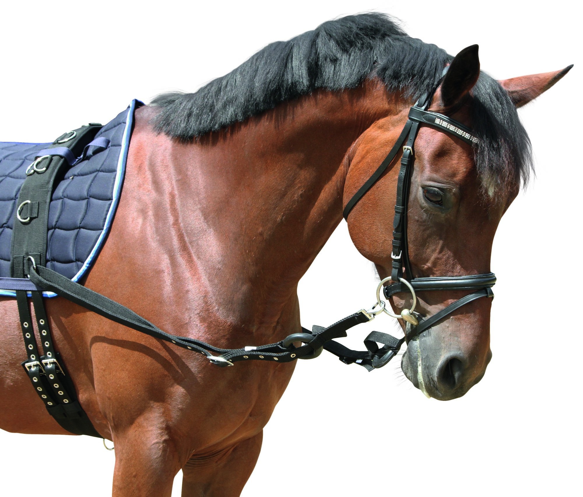 Chambón elástico Covalliero Negro Chambón elástico Covalliero Negro