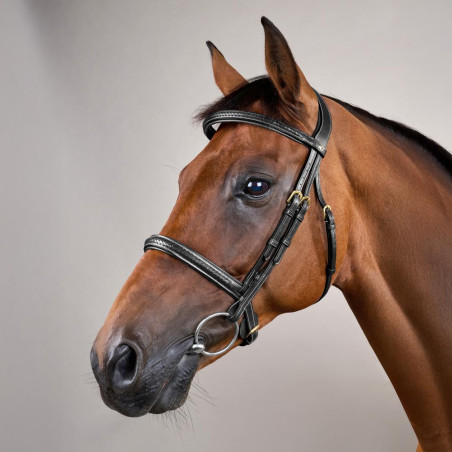 Brida con muserola trenzada sin barbada Dy'on