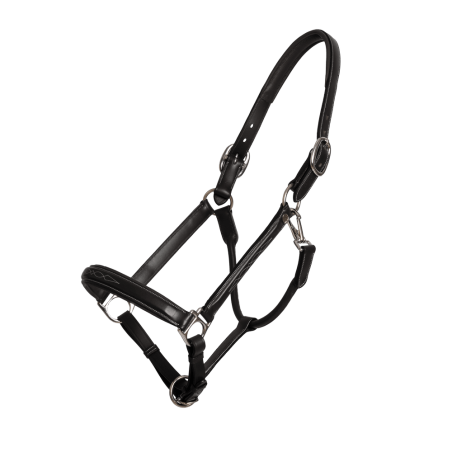 Cabezada Fancy Dy'on