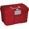 Caja de limpieza Norton - Burdeos