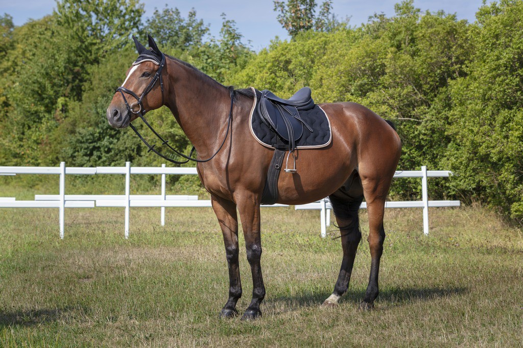 Orejeras antimoscas...