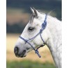 Cabezada etologica Control Shires - marine/blanc