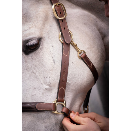 Cabezada de cuero con 3 mosquetones – PADDOCK