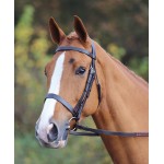 Bocado Aviemore Shires