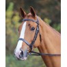 Bocado Aviemore Shires - Havana