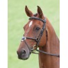 Cabezada Brackley Salisbury Shires - Negro