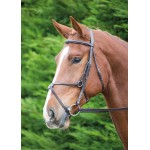 Cabezada Mexicana Aviemore Shires