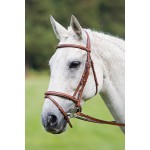 Cabezada con muserola cruz Raised Flash Avignon Shires