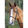 Cabezada con muserola francesa Aviemore Shires - Havana