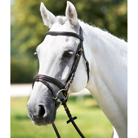 Brida Tattini con muserola combinada acolchada