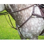 Pechopetral 5 puntos Salisbury Shires
