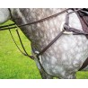 Pechopetral 5 puntos Salisbury Shires - Havana