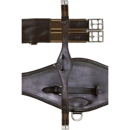 Cinchón Daslö media pechera