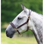 Cabezada cuadra de cuero Blenheim Shires