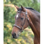 Cabezada Fancy Blenheim Shires