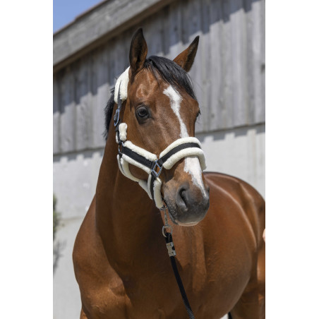 Cabezada Norton Cosy