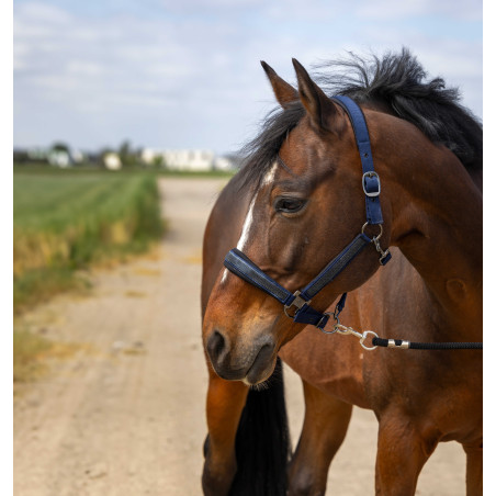 Cabezada de cuadra EQUITHÈME Nylon Strass