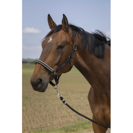 Cabezada de cuadra EQUITHÈME Nylon Chevron